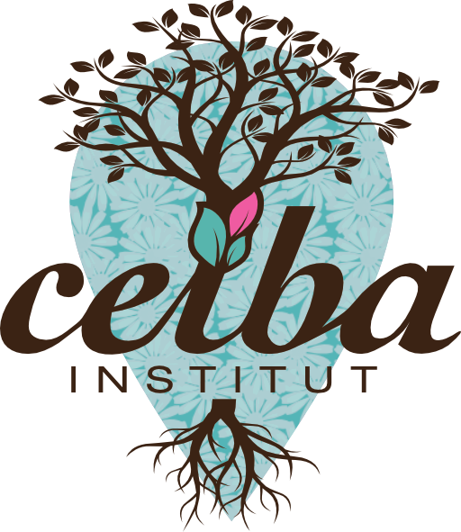 logo-ceiba-complet Ceiba Institut à Mont de Marsan